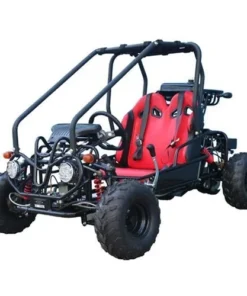 Taotao GK110 Kids Gas Go Kart Dune Buggys.