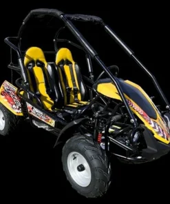 TrailMaster Blazer 200R Mid Go- Karts.