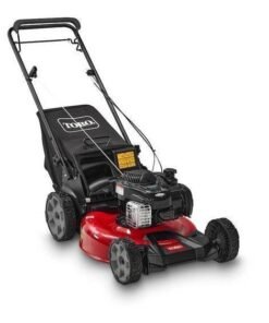 Toro 21 in. (53 cm) Recycler® Lawn Mower (21321)